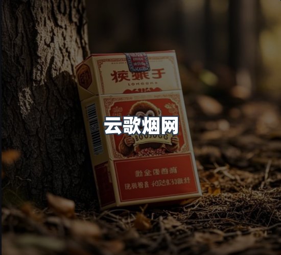 关于云歌烟网